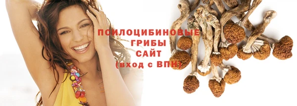 ГАЛЛЮЦИНОГЕННЫЕ ГРИБЫ Калининец