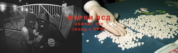 ГАЛЛЮЦИНОГЕННЫЕ ГРИБЫ Калининец