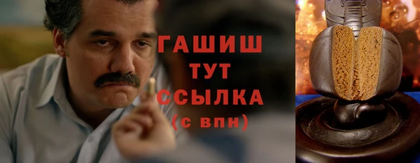 ГАЛЛЮЦИНОГЕННЫЕ ГРИБЫ Калининец