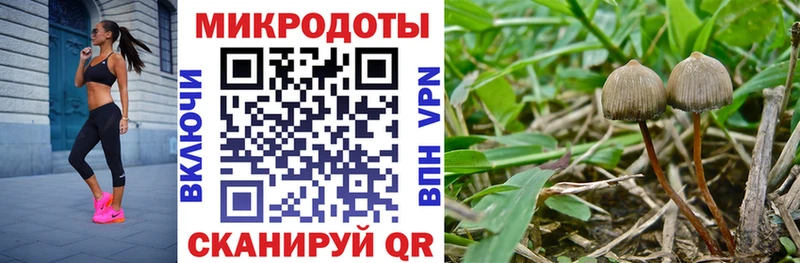 Псилоцибиновые грибы мицелий  OMG ссылка  Аксай 