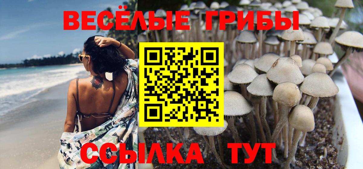 Галлюциногенные грибы мицелий  Вход с VPN  Аксай 